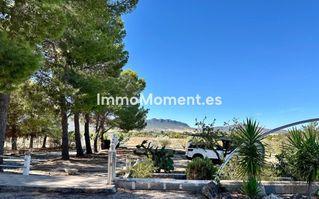 Resale - Detached villa - Yecla - Yecla Centro
