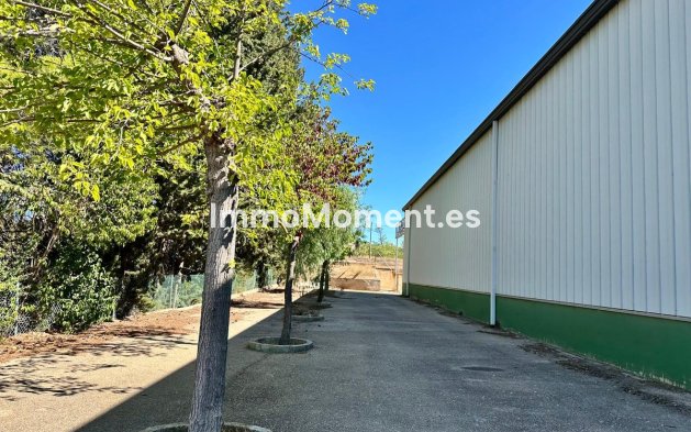 Resale - Detached villa - Yecla - Yecla Centro