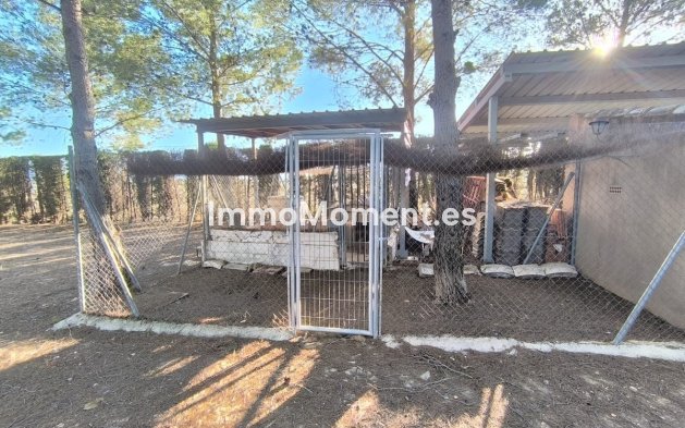 Resale - Detached villa - Yecla - Yecla Centro
