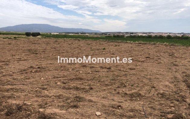 Reventa - Villa independiente - Pinoso - Pinoso Centro