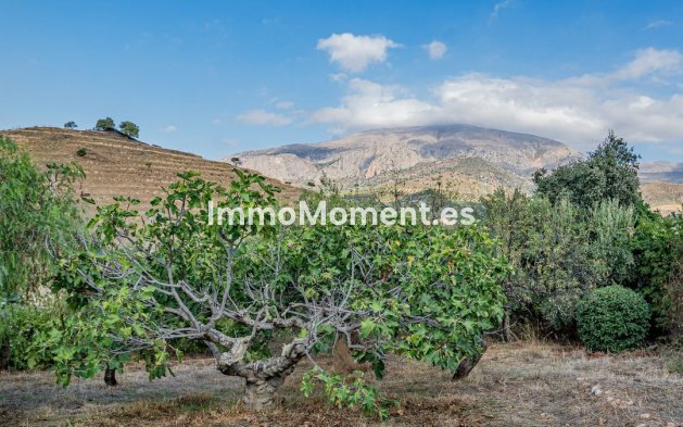 Resale - Detached villa - Inland  - Alora