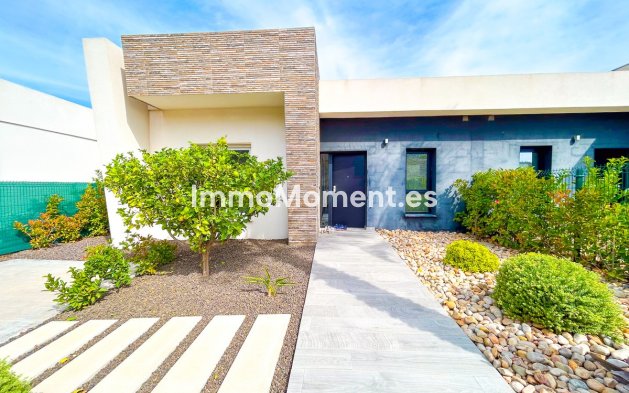 Wiederverkauf - Freistehende Villa - Algorfa - Algorfa Centro