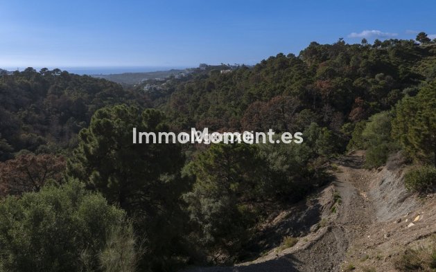 Resale - Plot - Benahavís - Benahavís Centro