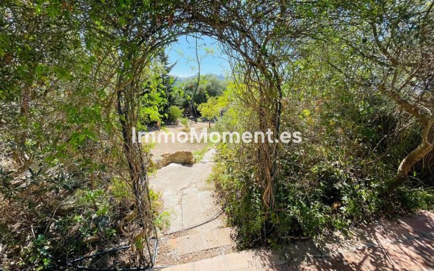 Reventa - Casa de campo - Interior  - Almogía