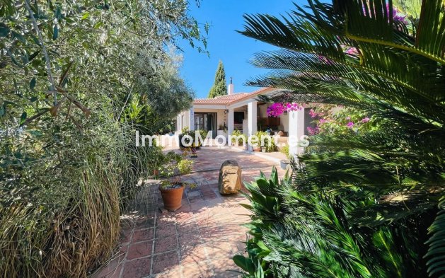 Reventa - Casa de campo - Interior  - Almogía