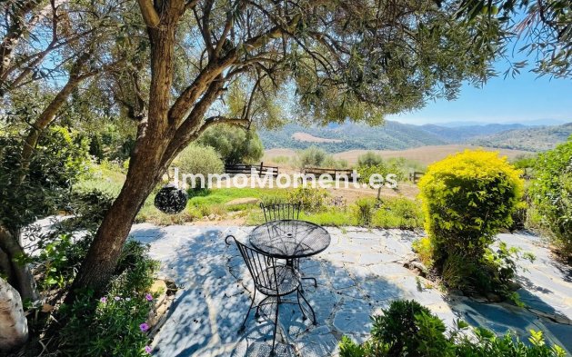 Reventa - Casa de campo - Interior  - Almogía