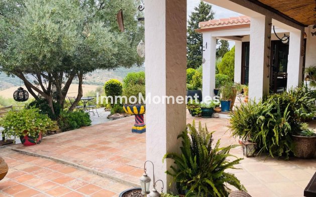 Reventa - Casa de campo - Interior  - Almogía