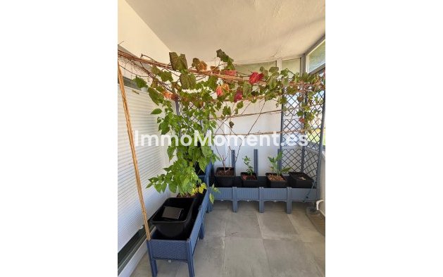 Bestaande woning - Appartement - Fuengirola - Fuengirola Centro