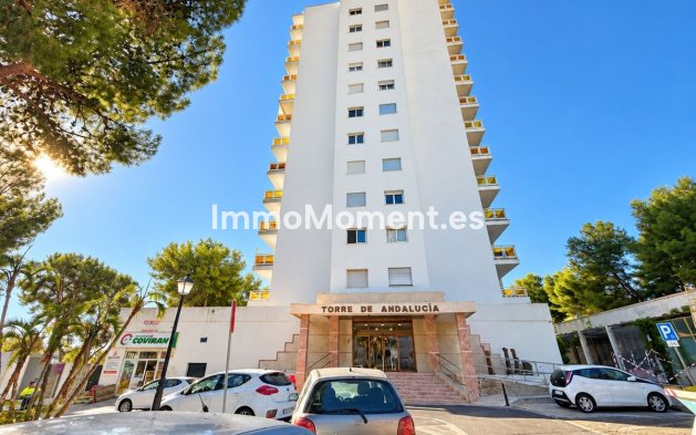 Reventa - Apartamento - Marbella - Nueva Andalucía