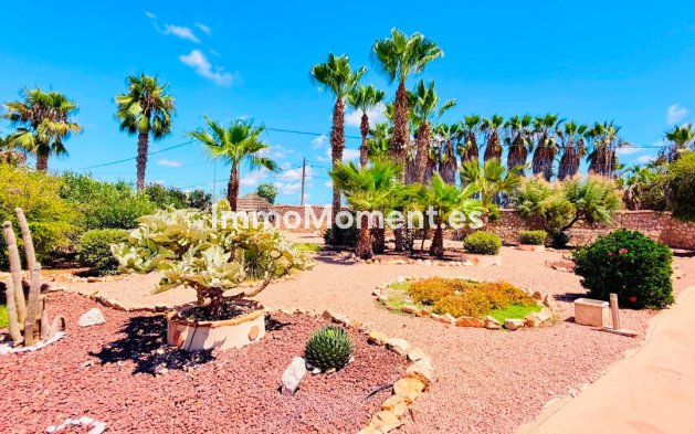 Bestaande woning - Vrijstaande villa - Daya Vieja