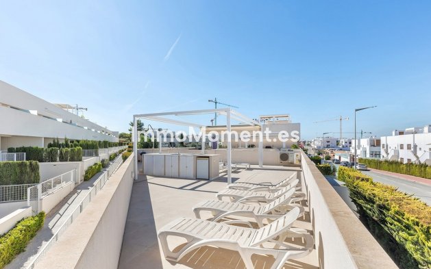 Resale - Apartment - Torrevieja - Los Balcones - Los Altos del Edén