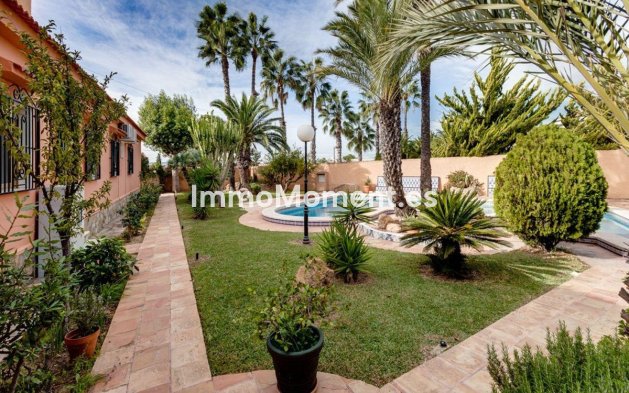 Wiederverkauf - Freistehende Villa - Torrevieja - La Siesta