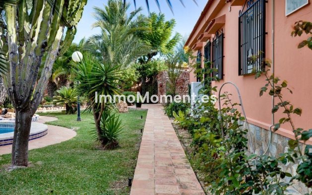 Wiederverkauf - Freistehende Villa - Torrevieja - La Siesta