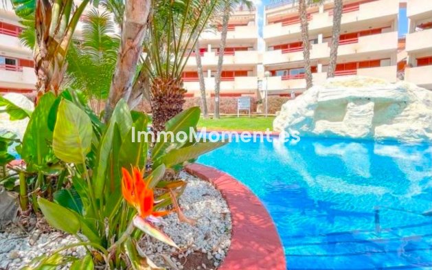 Wiederverkauf - Wohnung - Orihuela Costa - Punta Prima