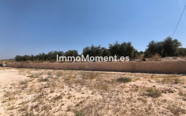 Resale - Detached villa - Pinoso - Pinoso Centro