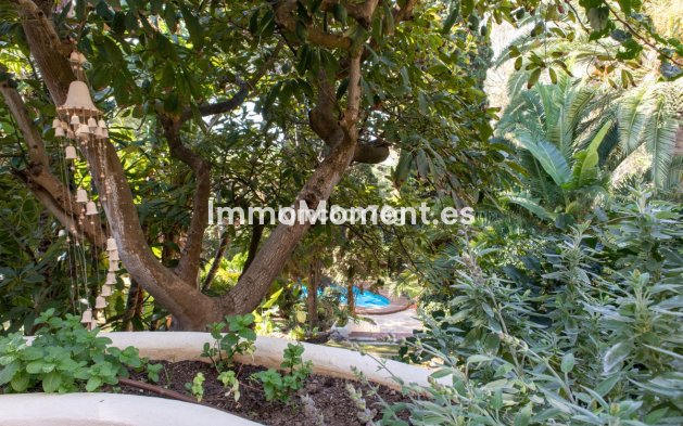 Revente - Villa individuelle - Mijas Costa - Calahonda