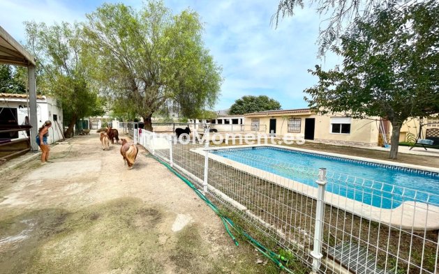 Resale - Country house - Orihuela - Orihuela Centro