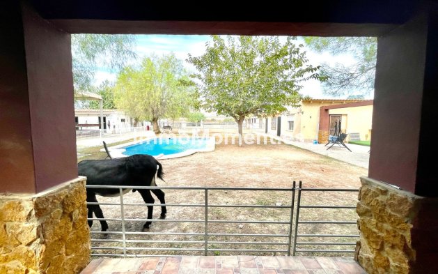 Resale - Country house - Orihuela - Orihuela Centro