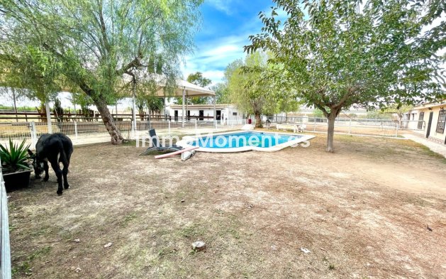 Resale - Country house - Orihuela - Orihuela Centro