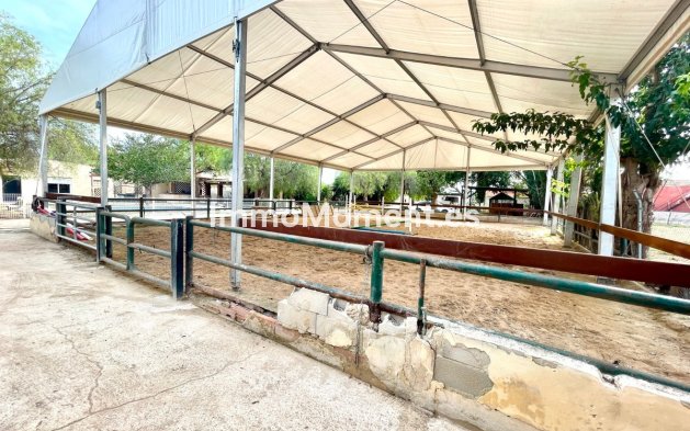 Resale - Country house - Orihuela - Orihuela Centro