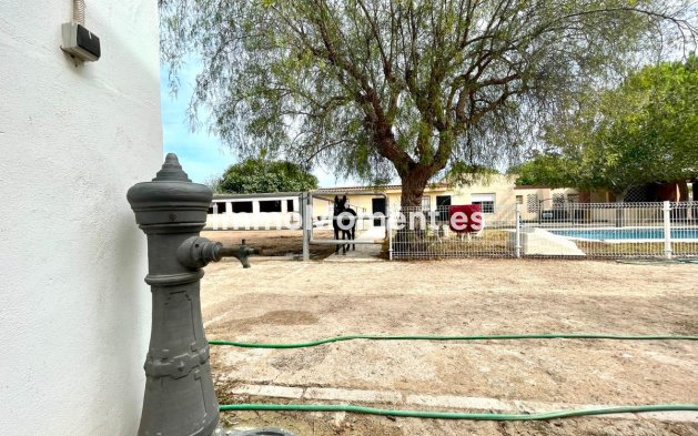 Resale - Country house - Orihuela - Orihuela Centro