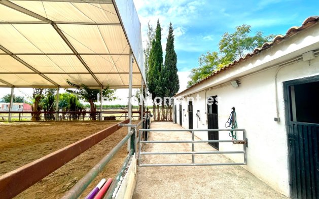 Resale - Country house - Orihuela - Orihuela Centro