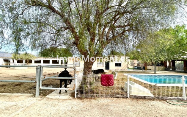 Resale - Country house - Orihuela - Orihuela Centro