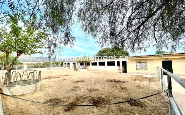 Resale - Country house - Orihuela - Orihuela Centro