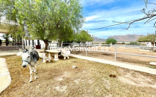 Resale - Country house - Orihuela - Orihuela Centro