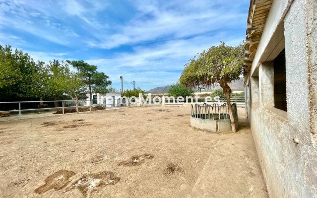 Resale - Country house - Orihuela - Orihuela Centro