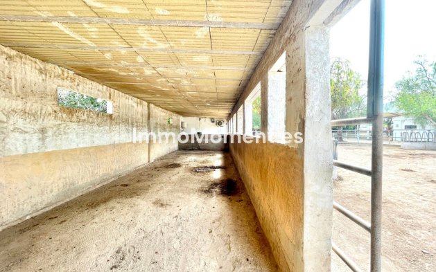 Resale - Country house - Orihuela - Orihuela Centro