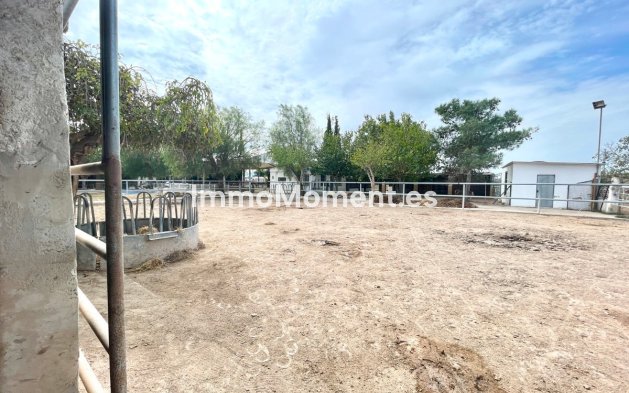 Resale - Country house - Orihuela - Orihuela Centro