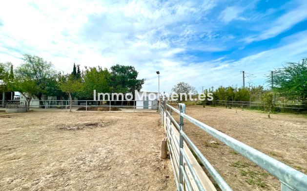 Resale - Country house - Orihuela - Orihuela Centro