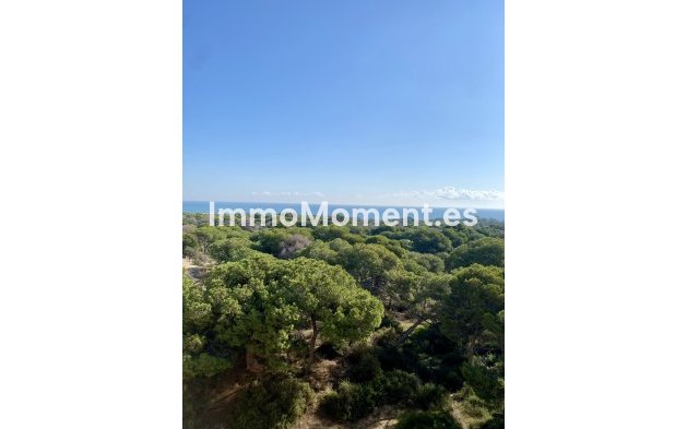 New Build - Apartment - Guardamar del Segura