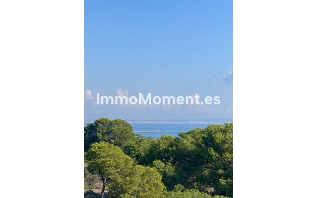 New Build - Apartment - Guardamar del Segura