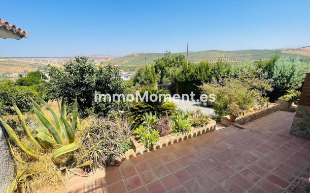 Reventa - Villa independiente - Interior  - Alora