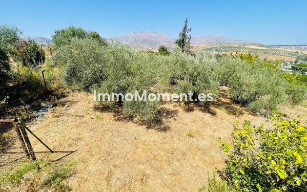 Reventa - Villa independiente - Interior  - Alora