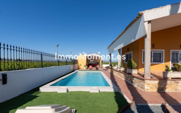 Reventa - Villa independiente - Orihuela - Orihuela Centro