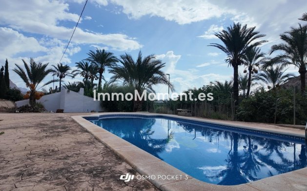 Reventa - Villa independiente - Orihuela - Orihuela Centro