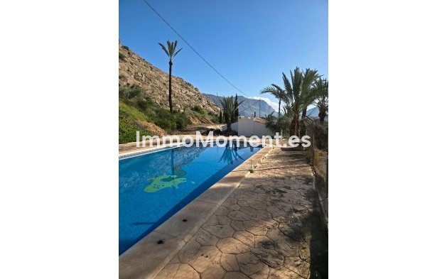 Reventa - Villa independiente - Orihuela - Orihuela Centro