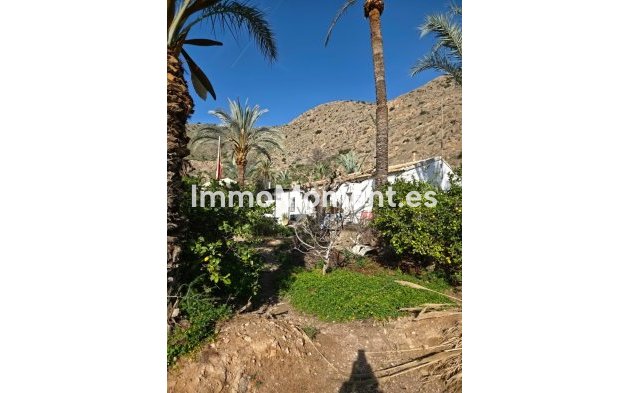 Reventa - Villa independiente - Orihuela - Orihuela Centro