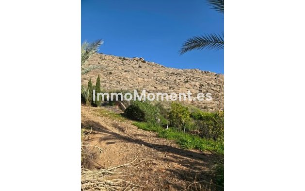 Reventa - Villa independiente - Orihuela - Orihuela Centro