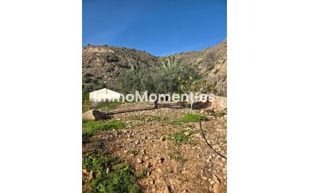 Reventa - Villa independiente - Orihuela - Orihuela Centro