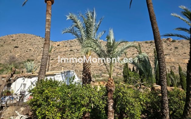 Reventa - Villa independiente - Orihuela - Orihuela Centro