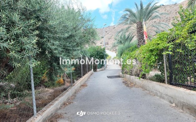 Reventa - Villa independiente - Orihuela - Orihuela Centro