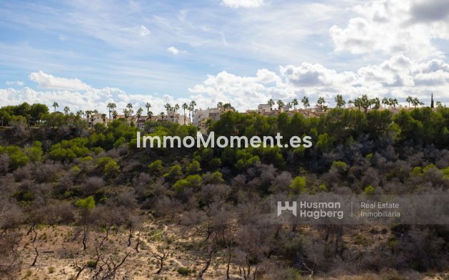 Reventa - Apartamento - Orihuela - Campoamor