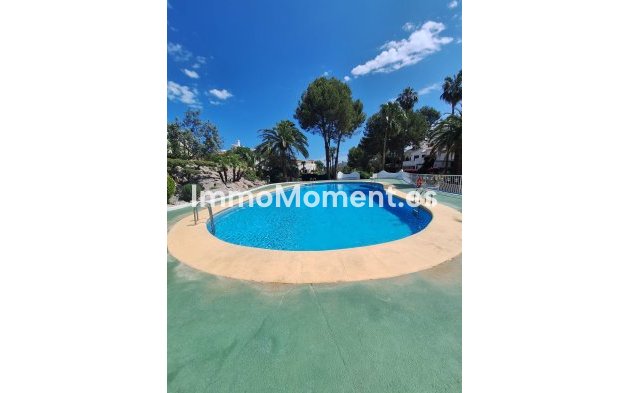 Reventa - Apartamento - Pedreguer - Pedreguer Centro