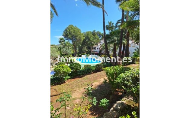 Reventa - Apartamento - Pedreguer - Pedreguer Centro