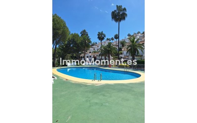 Reventa - Apartamento - Pedreguer - Pedreguer Centro