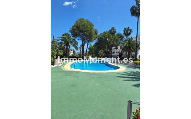Reventa - Apartamento - Pedreguer - Pedreguer Centro